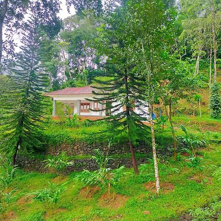 Anivilla Holiday Home Kunjithanny Anachal Екстериор снимка
