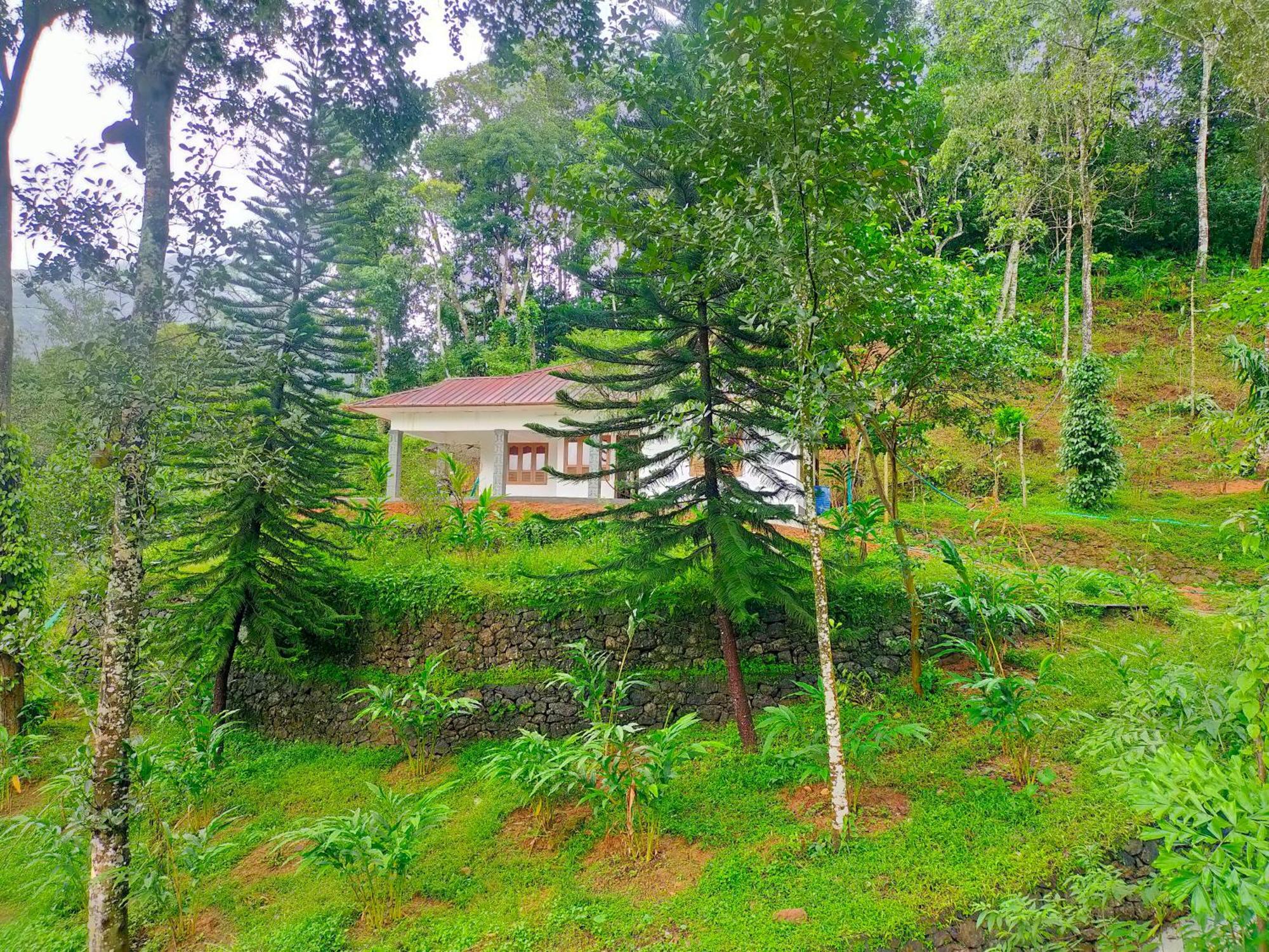 Anivilla Holiday Home Kunjithanny Anachal Екстериор снимка